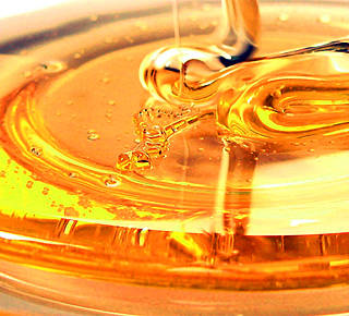 HONEY..COME HERE! Hotel