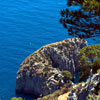 Arco Naturale - Pizzolungo