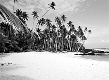 L'isola di Stevenson