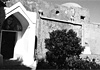 Cetrella d'inverno