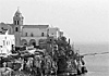 Quei ragni sul mare del Gargano