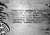 L'architetto che porta al mare della Versilia