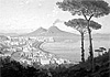 Quando Napoli perse il pino delle cartoline