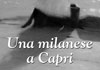 Le letture dell'estate