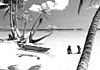 L'ombra di Brando sull'atollo di Tetiaroa