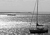 A bordo del Don Pedros nel silenzio del mare puntando su Palmarola