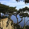 Arco Naturale e Pizzolungo