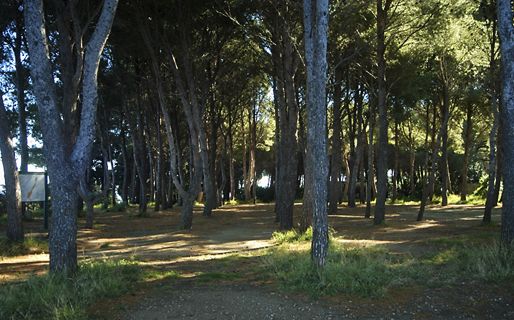 Villa Damecuta
