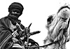 Una notte con i Tuaregh