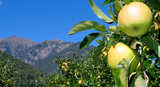 L'eterno fascino della montagna