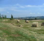 Horse trekking adventure in Val di Cecina Tuscany