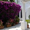 Il Portico Capri