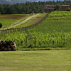 Locanda dell'Amorosa Sinalunga