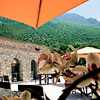 Il Cannito Capaccio - Paestum