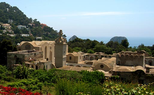 Friends of Certosa Variados Capri