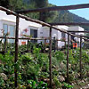 TerraMMare Anacapri