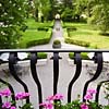 Villa Alberti - Veneto
