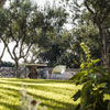 Masseria Alchimia Fasano