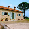 Il Quinto, Maremma - Tuscany