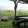 Domus Etrusca San Casciano dei Bagni