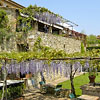 Bosco della Spina Murlo