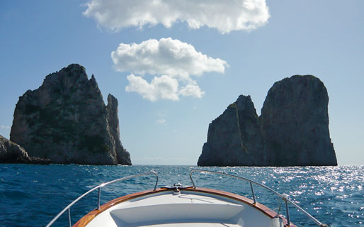 Capri Whales Escursioni in mare Capri