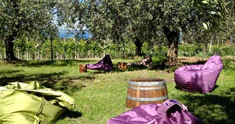 Tenuta La Pergola Bardolino Verona hotels