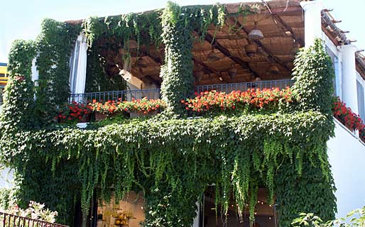 Columbus Restaurants Anacapri