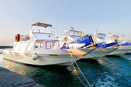 Laser Capri - Transfer Marina Grande - Blue Grotto - Eastbound