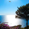 La Guardia Anacapri